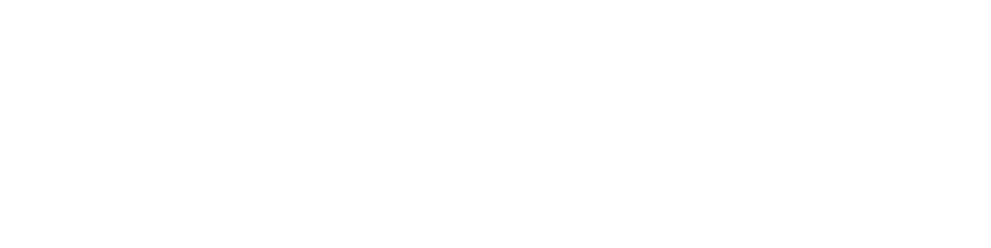 Payment Processor